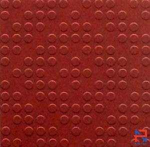 Gạch Đỏ Lát Sân Hạ Long  NPHL19
