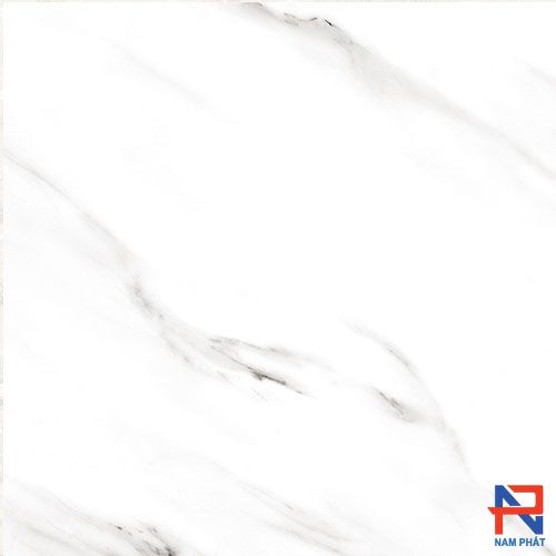 Gạch Nhập Khẩu Ấn Độ 60x60 CARARA