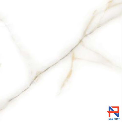 Gạch Nhập Khẩu Ấn Độ 60x60 CITYLINE WHITE