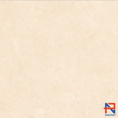 Gạch Nhập Khẩu Ấn Độ 60x60 CCREMA MARFIL
