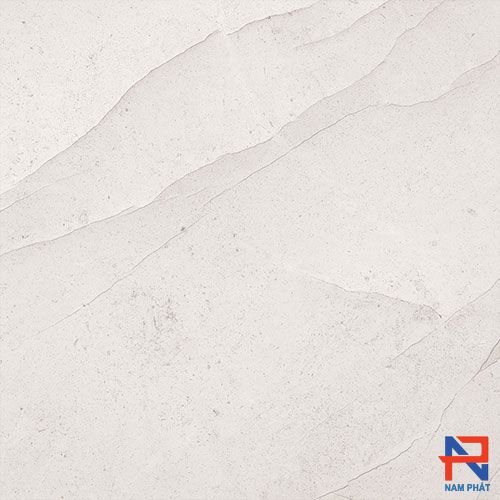 Gạch Nhập Khẩu Ấn Độ 60x60 LIGHT
