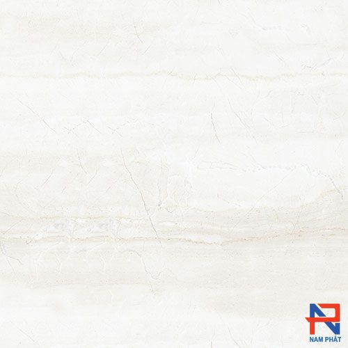 Gạch Nhập Khẩu Ấn Độ 60x60 MARBELLA BIANCO