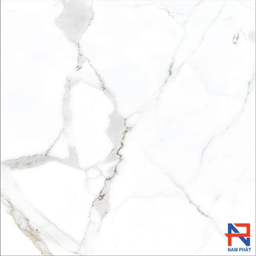 Gạch Nhập Khẩu Ấn Độ 60x60 MARBELLA WHITE