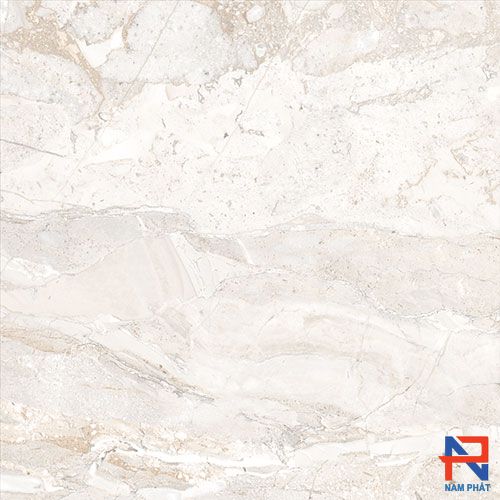 Gạch Nhập Khẩu Ấn Độ 60x60 PACIFIC BIANCO