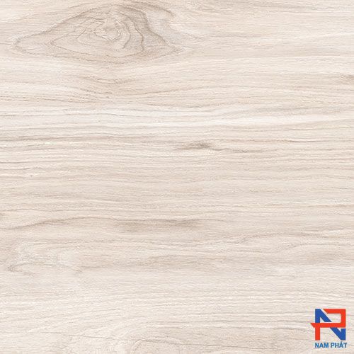 Gạch Nhập Khẩu Ấn Độ 60x60 PAMWOOD WHITE