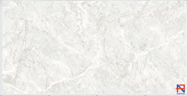 Gạch Lát Nền CMC 30x60 LD3636