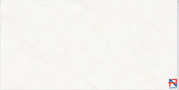Gạch Lát Nền CMC 30x60 LD3690