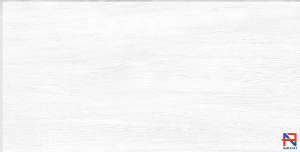 Gạch Lát Nền CMC 30x60 W3602