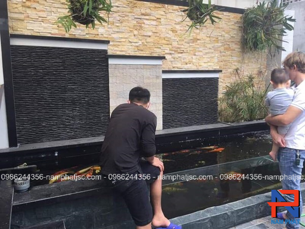 Đá suối ốp tường trang trí bể cá KOI