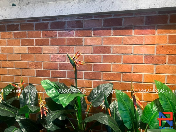Gạch cổ ốp tường cắt 6 mặt 