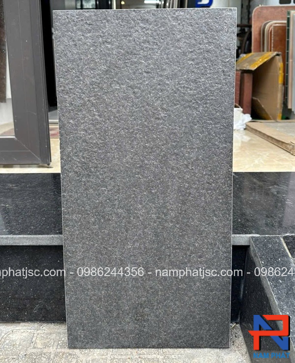 Gạch lát sân kích thước 30x60 cm mã NPGLS301