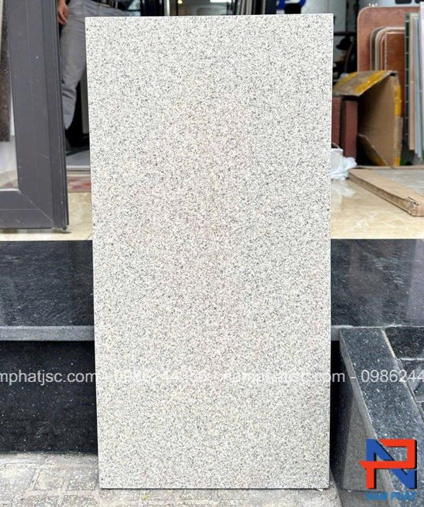 Gạch lát sân kích thước 30x60 cm mã NPGLS303