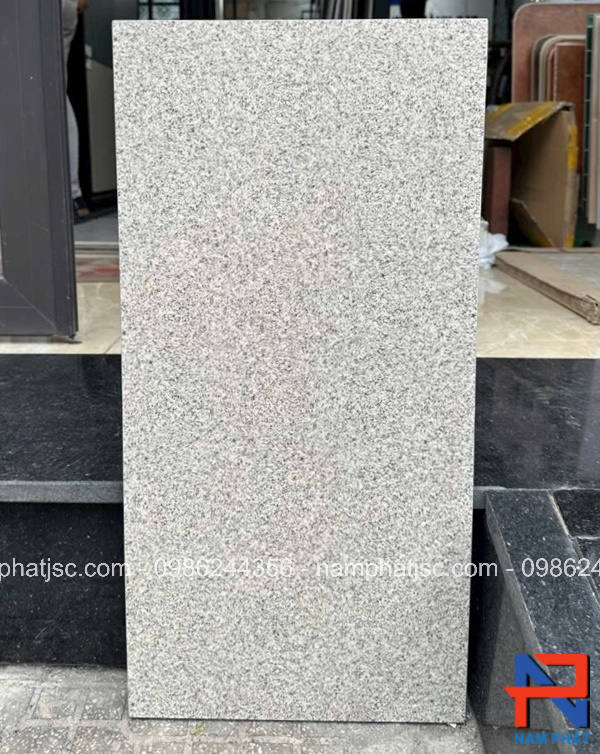 Gạch lát sân đồng chất 30x60 cm mã NPGLS304