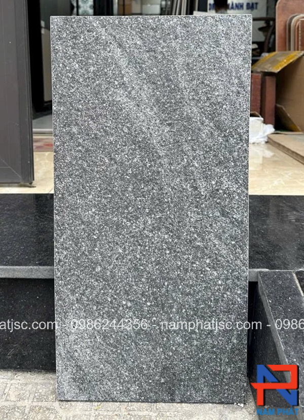 Gạch lát sân đồng chất 30x60 cm mã NPGLS305