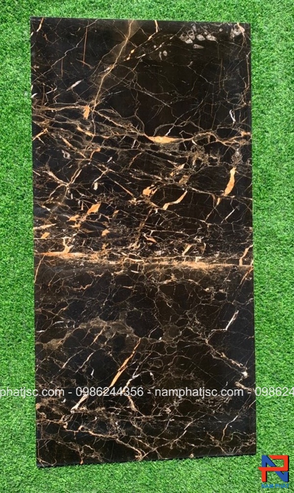 Gạch Ấn Độ men bóng giả đá 60x120 cm mã NPVA6053