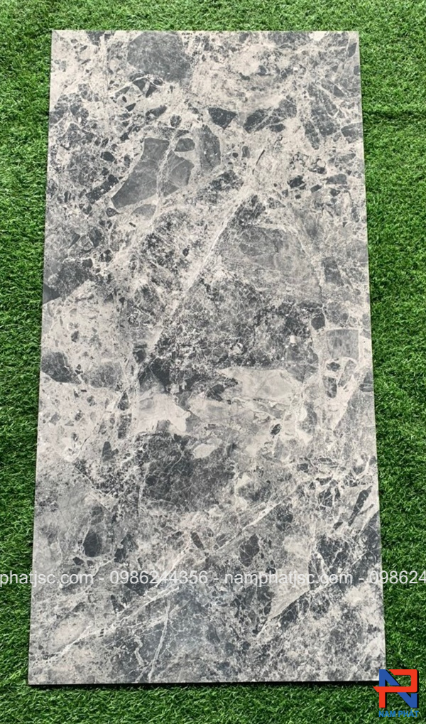 Gạch Ấn Độ nhập khẩu 60x120 cm mã NPVA6067