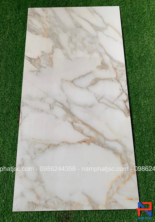 Gạch Ấn Độ nhập khẩu 60x120 cm mã NPVA6068