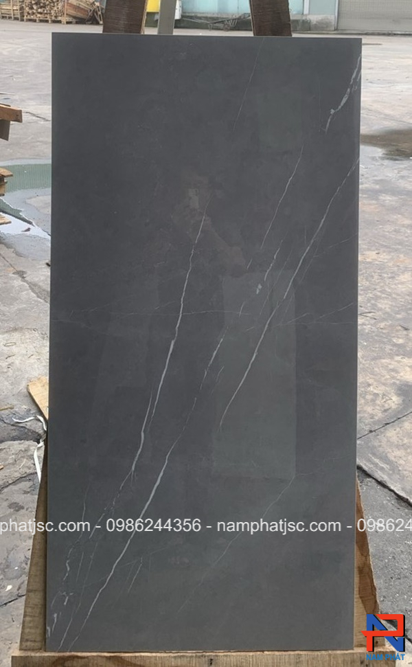 Gạch Ấn Độ men bóng 60x120 cm mã NPVA6079