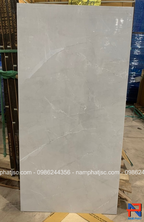 Gạch Ấn Độ men bóng 60x120 cm mã NPVA6082