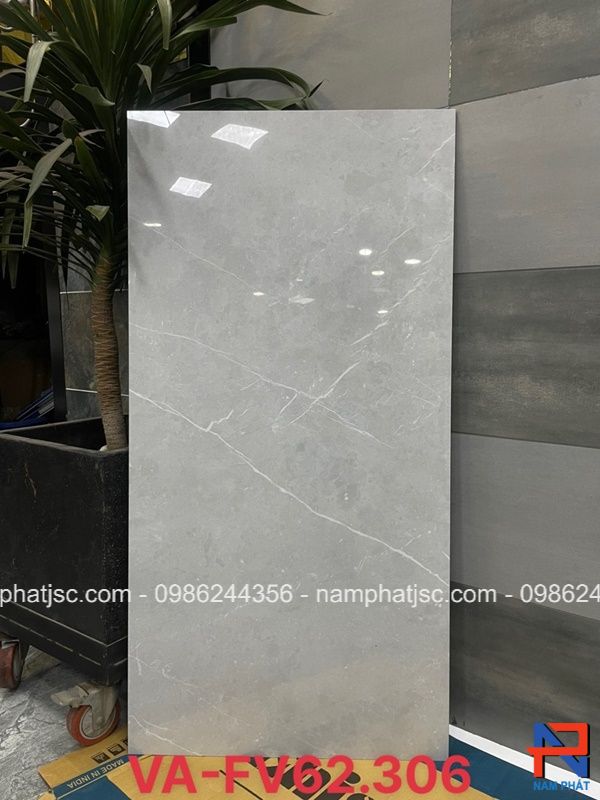 Gạch Ấn Độ men bóng 60x120 cm mã NPVA62306