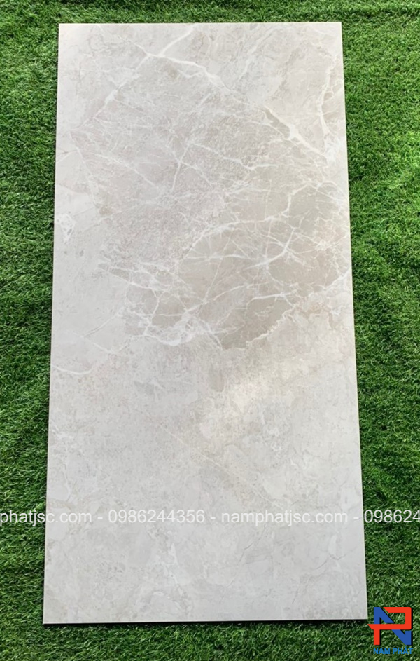 Gạch Ấn Độ men bóng 60x120 cm mã NPVA6083