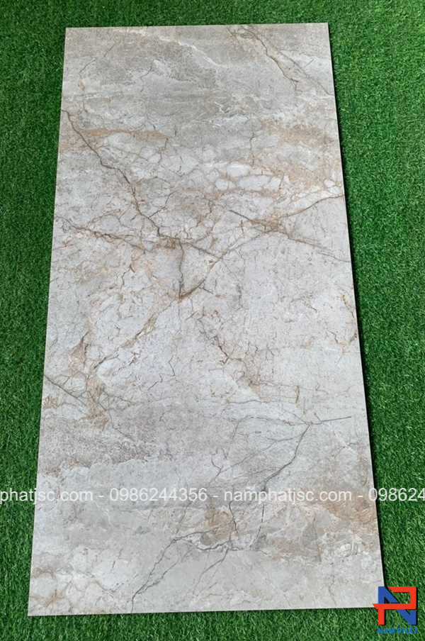 Gạch Ấn Độ men bóng 60x120 cm mã NPVA6086