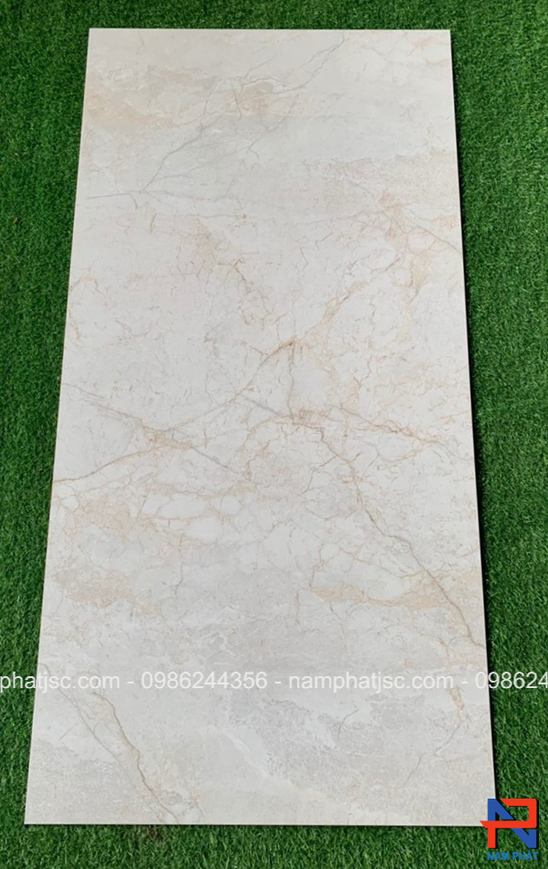 Gạch Ấn Độ men bóng 60x120 cm mã NPVA6087