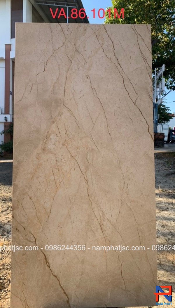 Gạch Ấn Độ men bóng 60x120 cm mã NPVA6088