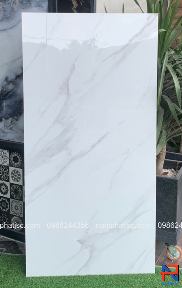 Gạch Ấn Độ men bóng 60x120 cm mã NPVA6094