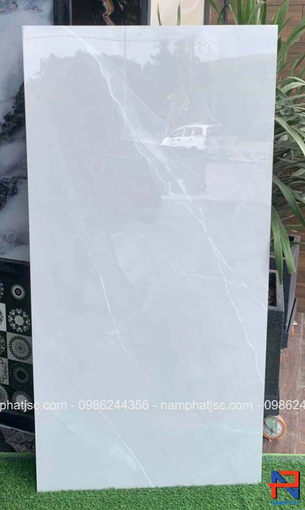 Gạch Ấn Độ men bóng 60x120 cm mã NPVA6095