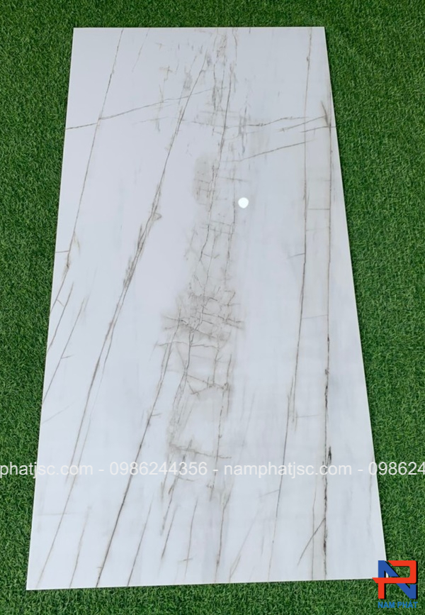 Gạch Ấn Độ men bóng 60x120 cm mã NPVA6096