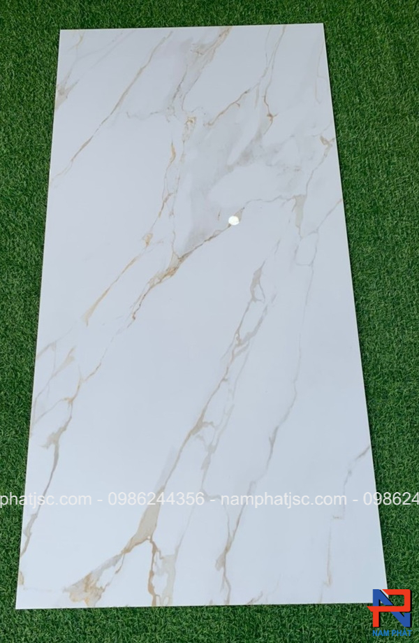 Gạch Ấn Độ men bóng 60x120 cm mã NPVA6097