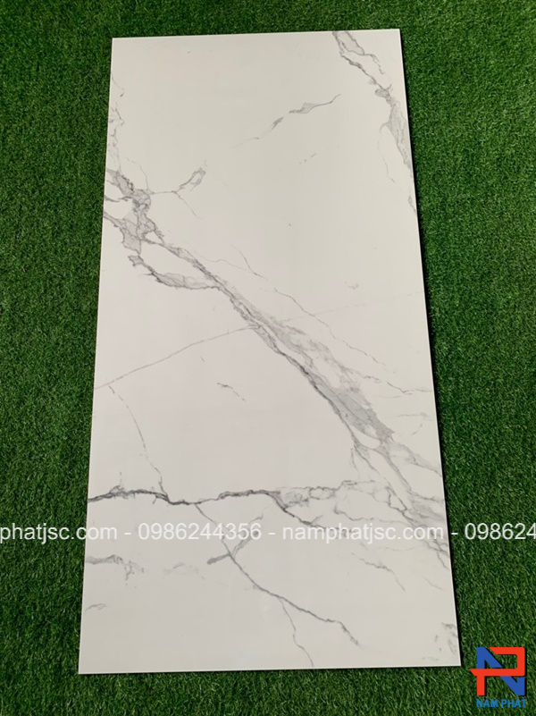 Gạch Ấn Độ men bóng 60x120 cm mã NPVA6098