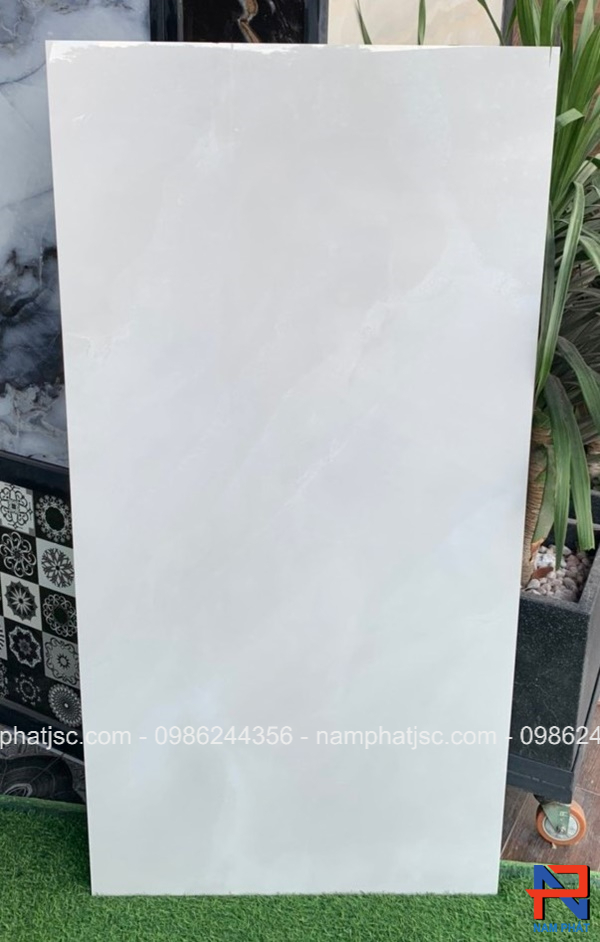 Gạch Ấn Độ men bóng 60x120 cm mã NPVA6099