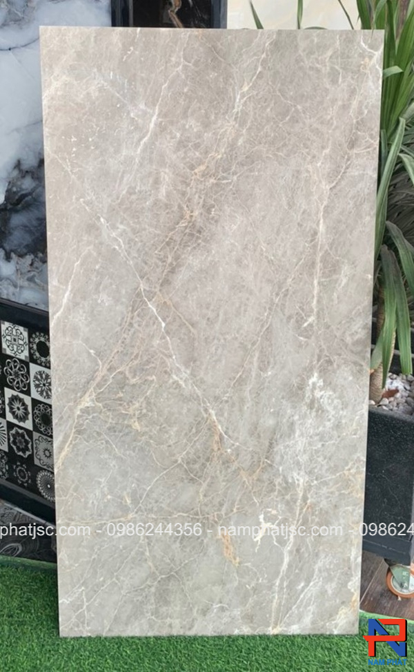 Gạch Ấn Độ men bóng 60x120 cm mã NPVA6100