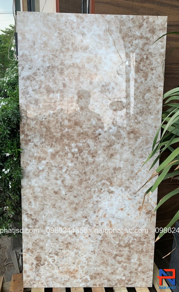 Gạch Ấn Độ men bóng 60x120 cm mã NPVA6101