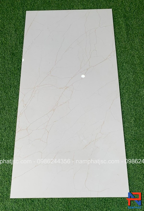 Gạch Ấn Độ men bóng 60x120 cm mã NPVA6102