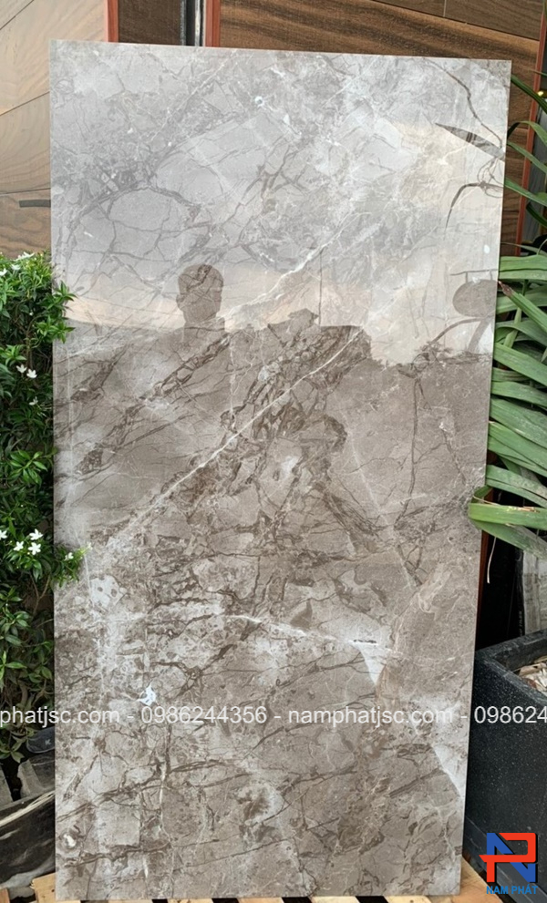 Gạch Ấn Độ nhập khẩu 60x120 cm mã NPVA6077