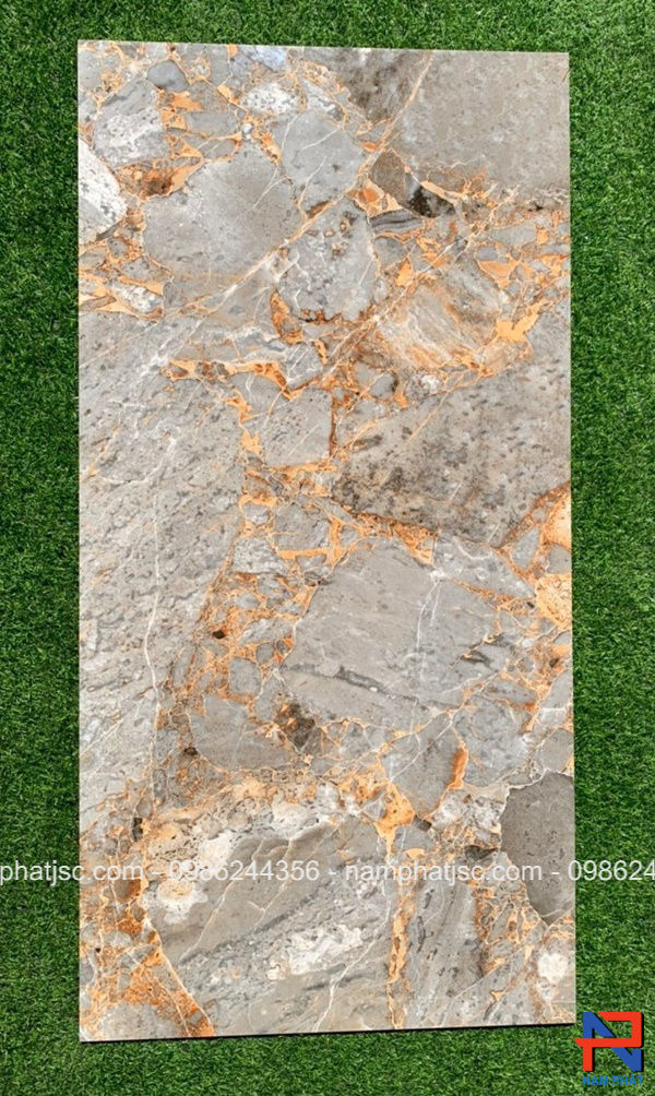 Gạch Ấn Độ nhập khẩu 60x120 cm mã NPVA6078