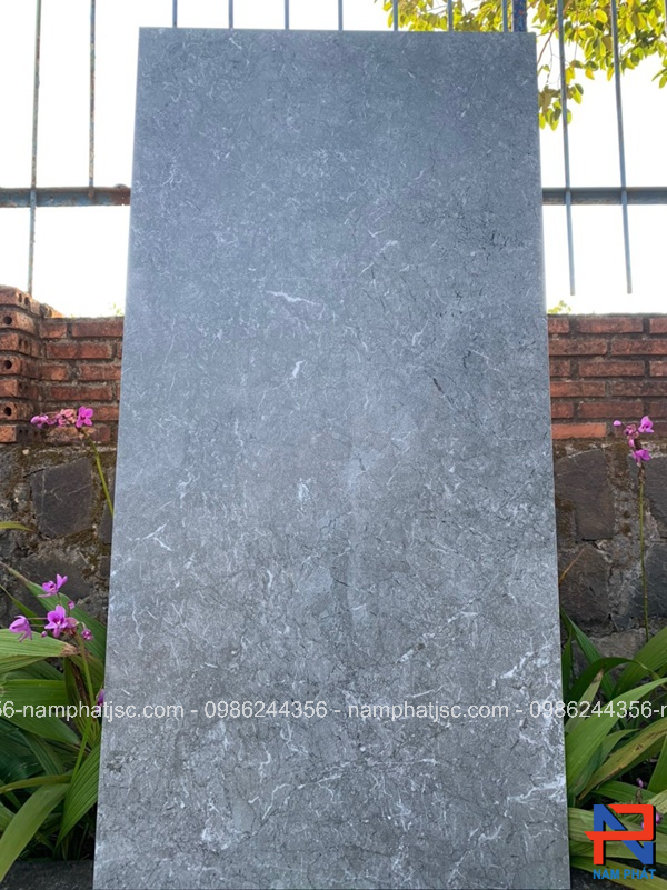 Gạch Ấn Độ nhập khẩu 60x120 cm mã NPVA6001