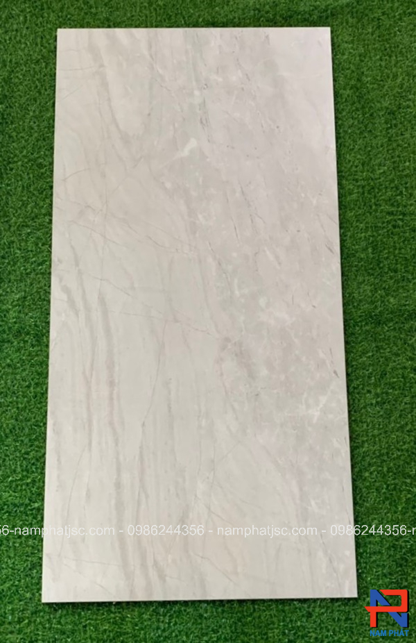 Gạch Ấn Độ nhập khẩu 60x120 cm mã NPVA6002