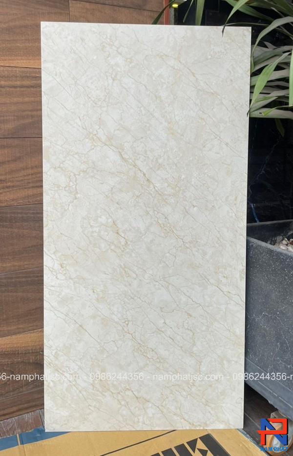 Gạch Ấn Độ nhập khẩu 60x120 cm mã NPVA6005