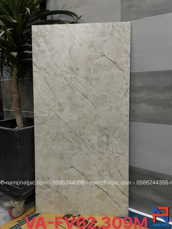 Gạch Ấn Độ nhập khẩu 60x120 cm mã NPVA62309