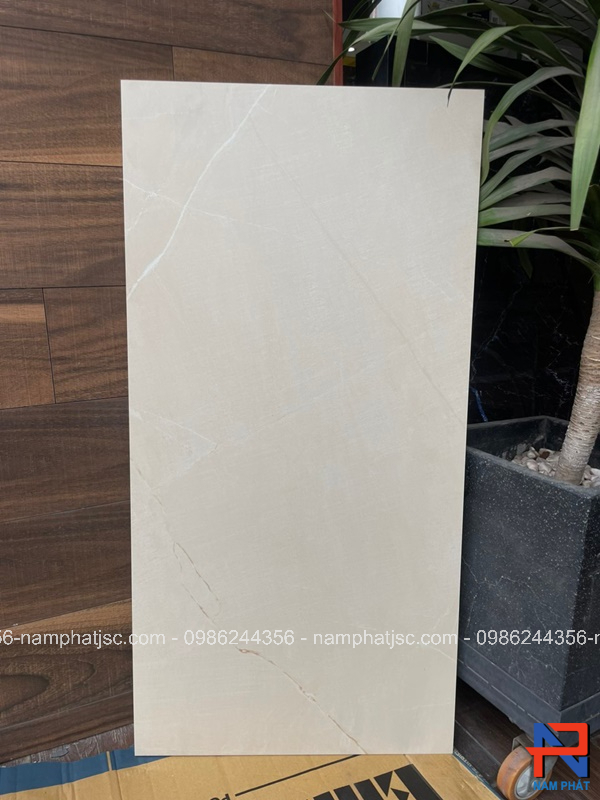 Gạch Ấn Độ nhập khẩu 60x120 cm mã NPVA6008