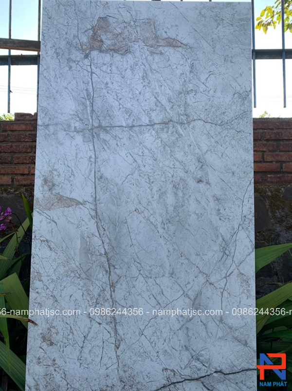 Gạch Ấn Độ nhập khẩu 60x120 cm mã NPVA6009