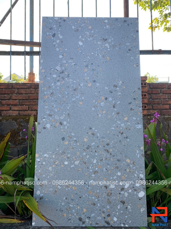 Gạch Ấn Độ nhập khẩu 60x120 cm mã NPVA6010