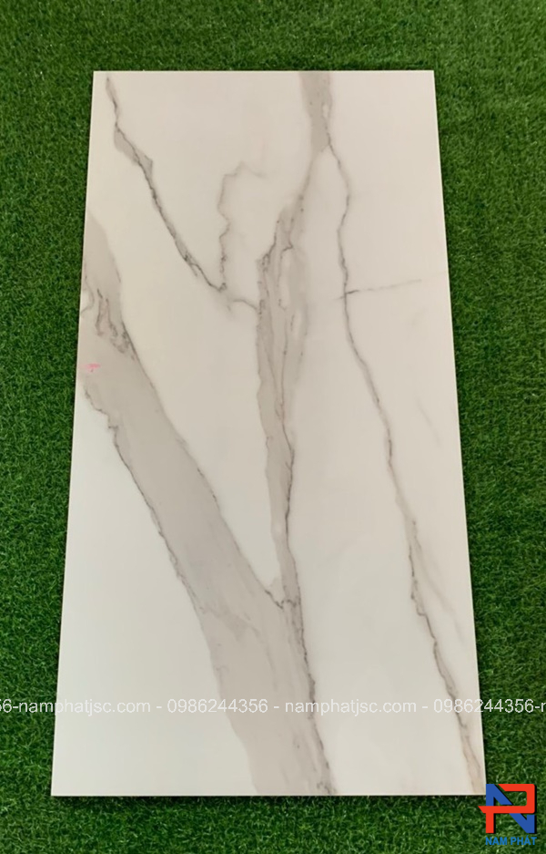 Gạch Ấn Độ nhập khẩu 60x120 cm mã NPVA6013