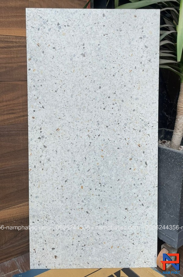 Gạch Ấn Độ nhập khẩu 60x120 cm mã NPVA6014