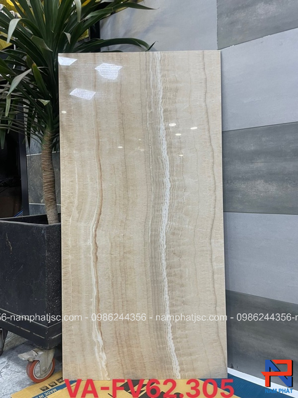 Gạch Ấn Độ nhập khẩu 60x120 cm mã NPVA62035