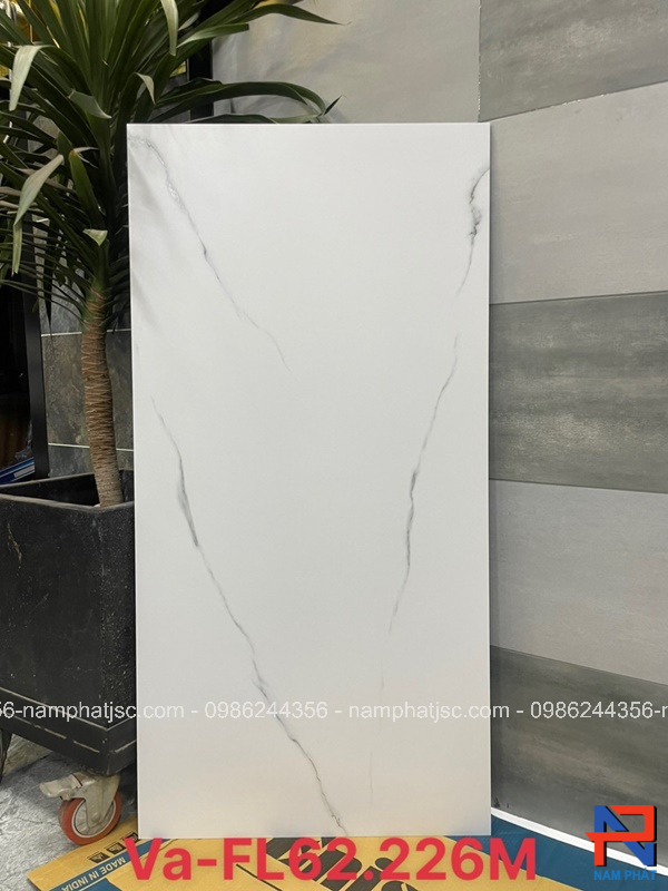 Gạch Ấn Độ nhập khẩu 60x120 cm mã NPVA62226